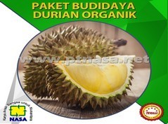 paket pupuk pertanian budidaya durian nasa