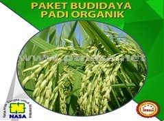 paket pupuk pertanian budidaya padi nasa