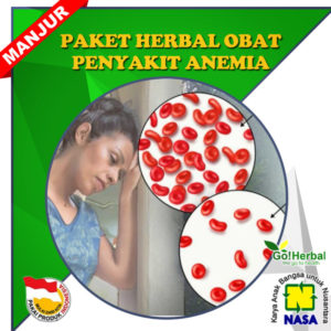 obat anemia nasa