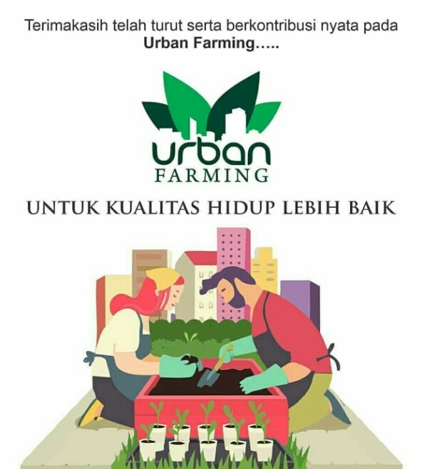 urban farming paket A